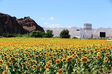 世嘉新作《索尼克：边境》试玩版标题画面现身网络